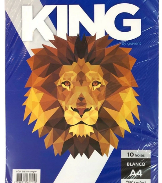 Resma 240g x100 hjs