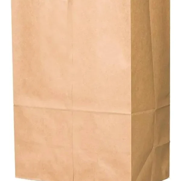 Bolsa Fast Food Sin Manija 20x30